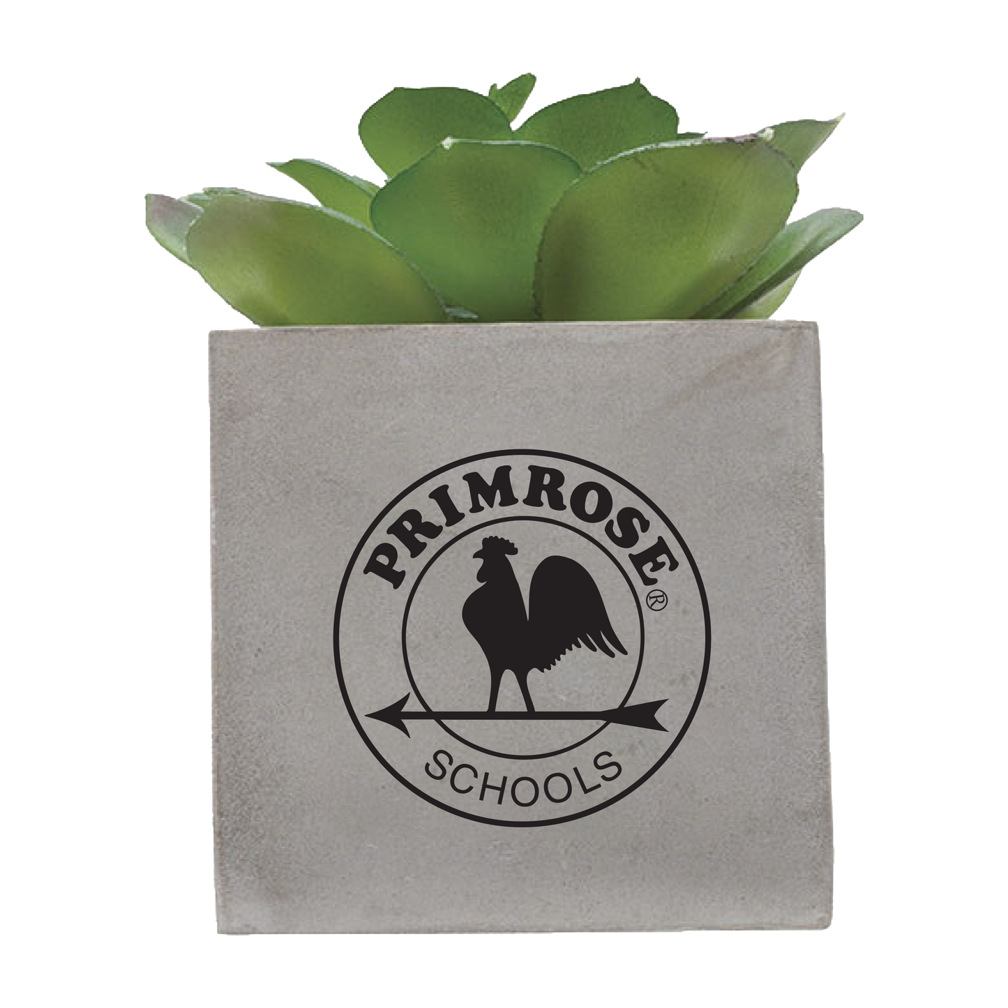 Mini Faux Potted Plant
